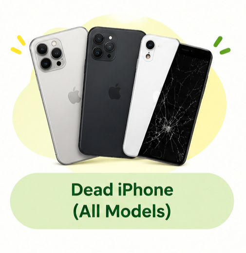 iPhone (Any Model)